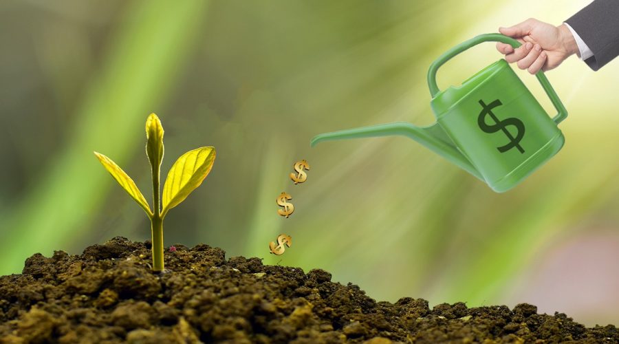 Die_IBM_Dividende_und_ihr_Einfluss_auf_das_Business_Imperium Die_IBM_Dividende_und_ihr_Einfluss_auf_das_Business_Imperium