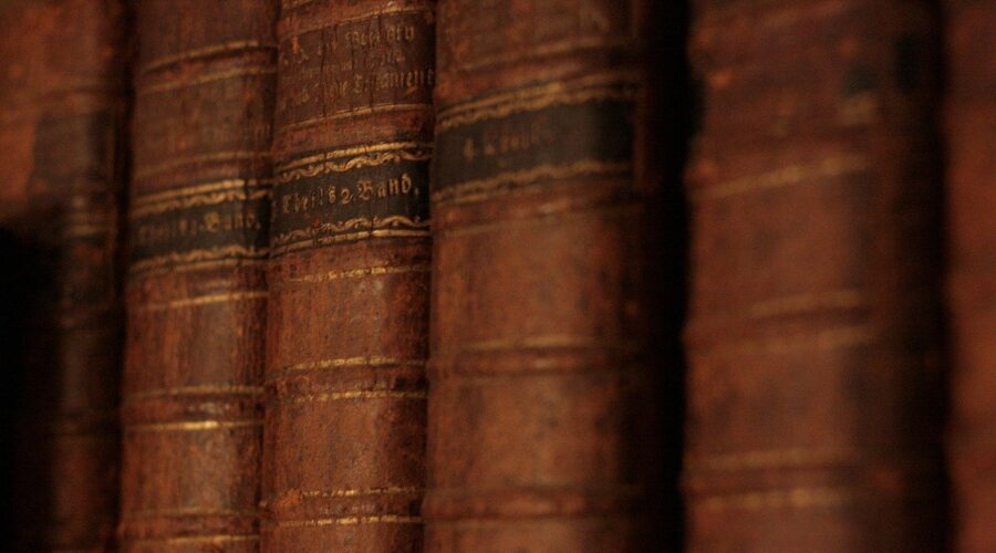 Schaffen_Sie_Raum_für_Wissen:_Bücherregale_mit_Leiter_für_Ihr_Unternehmen