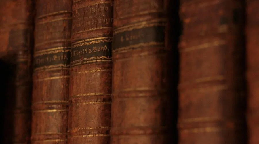 Schaffen_Sie_Raum_für_Wissen:_Bücherregale_mit_Leiter_für_Ihr_Unternehmen