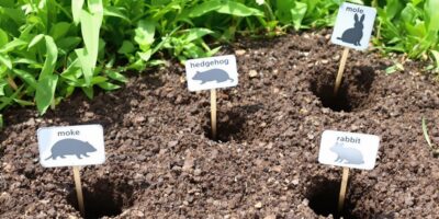 welches tier gräbt löcher im garten