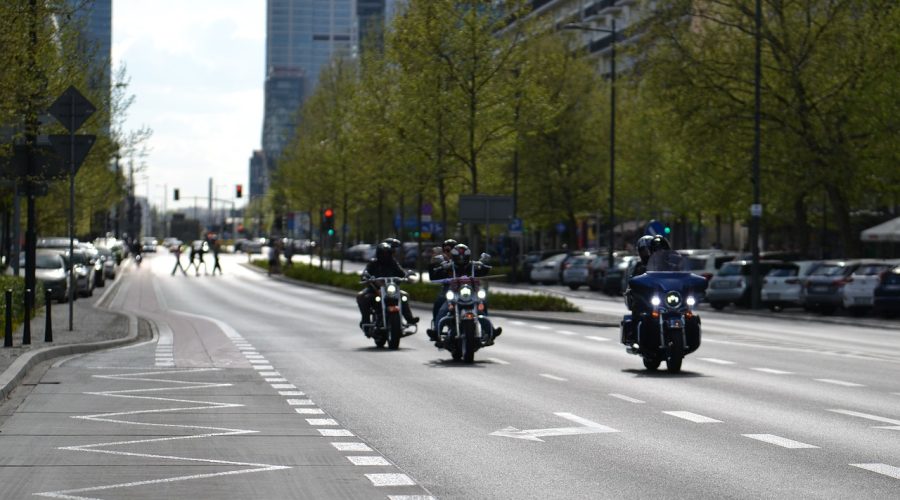 Überleben_in_der_Hauptverkehrszeit:_Strategien_für_etablierte_Unternehmen